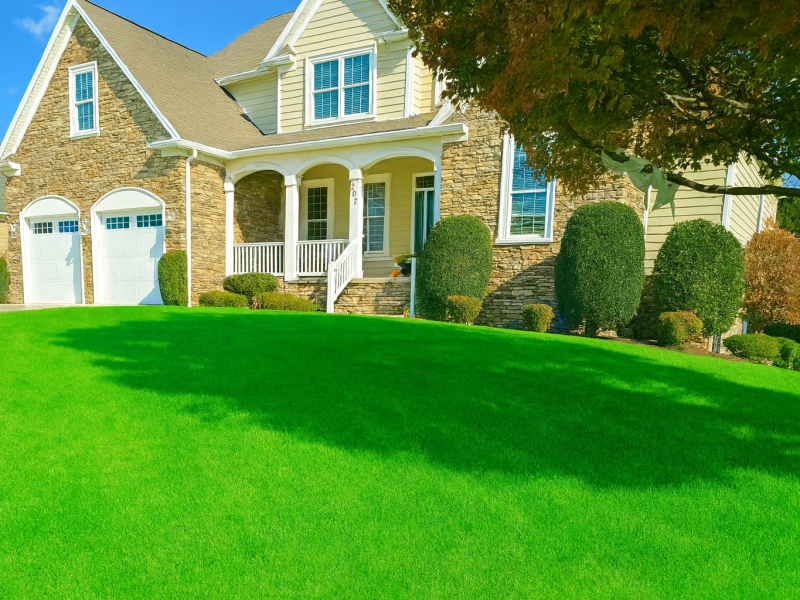 ChatGPT Image Dec 16, 2025, 10_28_29 AM