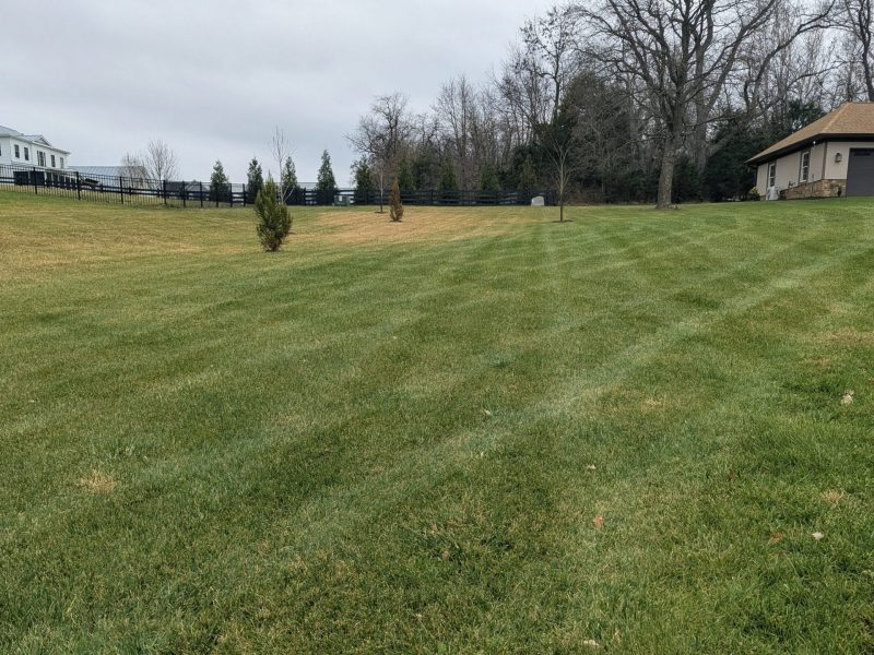 PXL_20251120_174619199~2