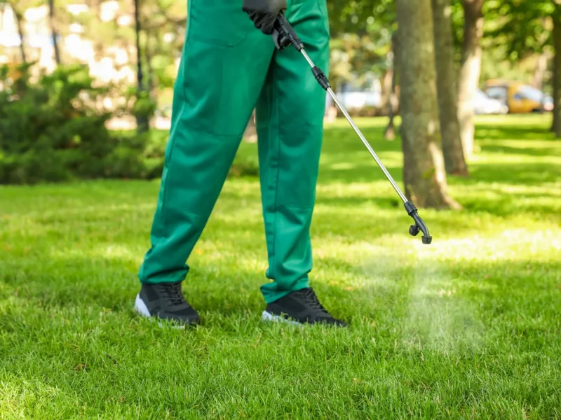 first-class-lawn-care-banner-image22