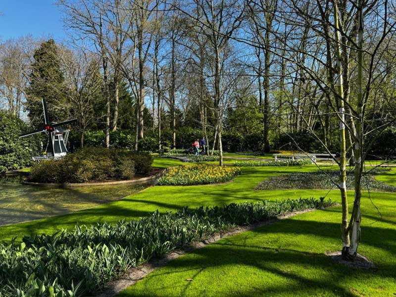 firstclasslawns.com---2026-Lawn-Preparation-Guide-for-Best-Results-With-Fertilization-&-Weed-Control