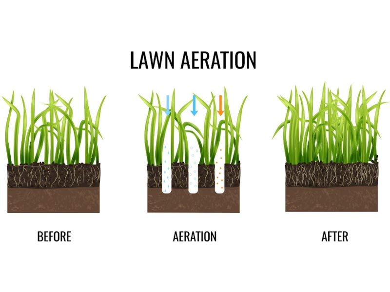 firstclasslawns.com-Fall-Aeration-The-Secret-to-Healthier-Fescue-Lawns-in-Rockingham-and-Augusta-County